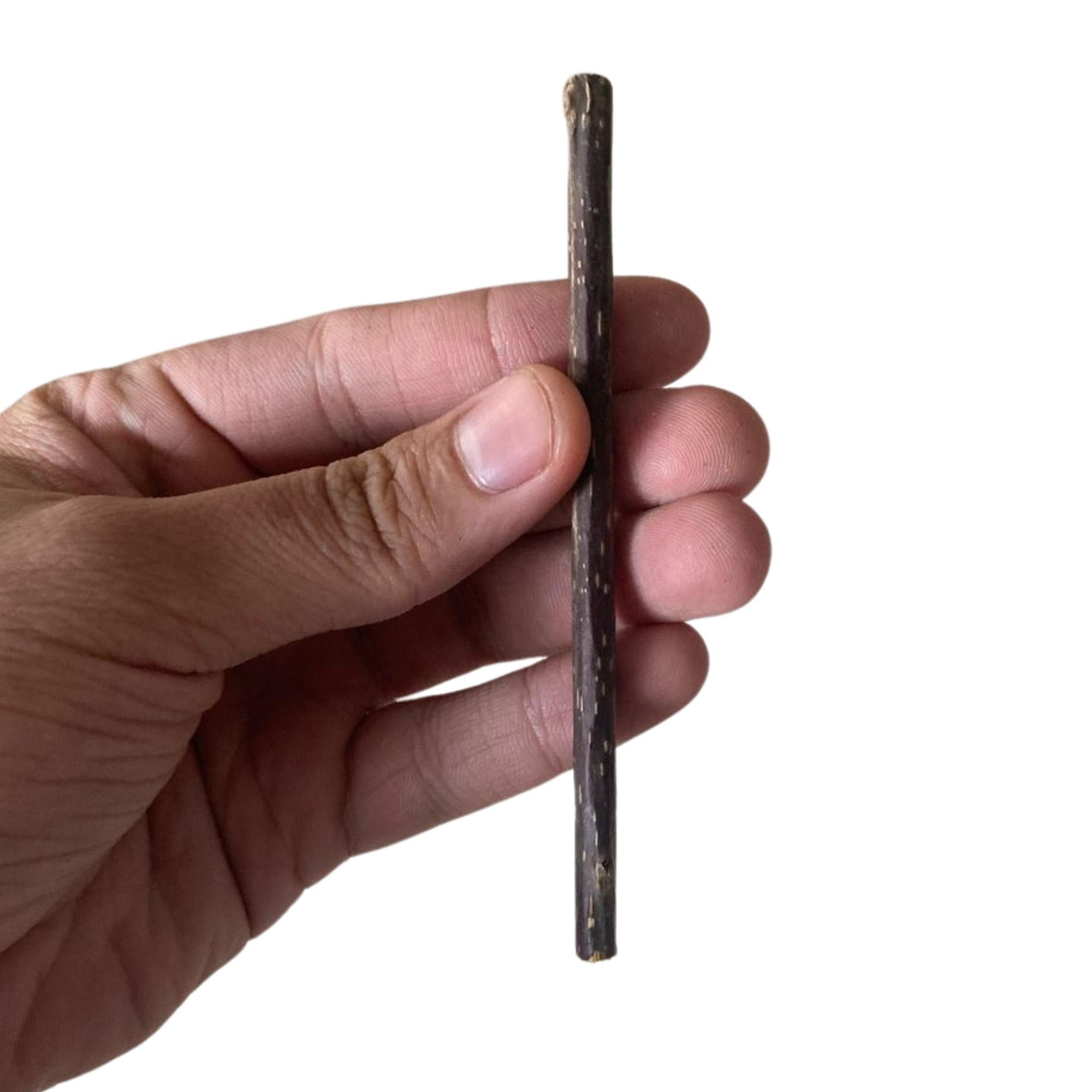 Kit 10 Pacotinhos Catnip Premium Caindi + 1 Palito Matatabi Orgânico Natural Alta Eficácia Rende Muito