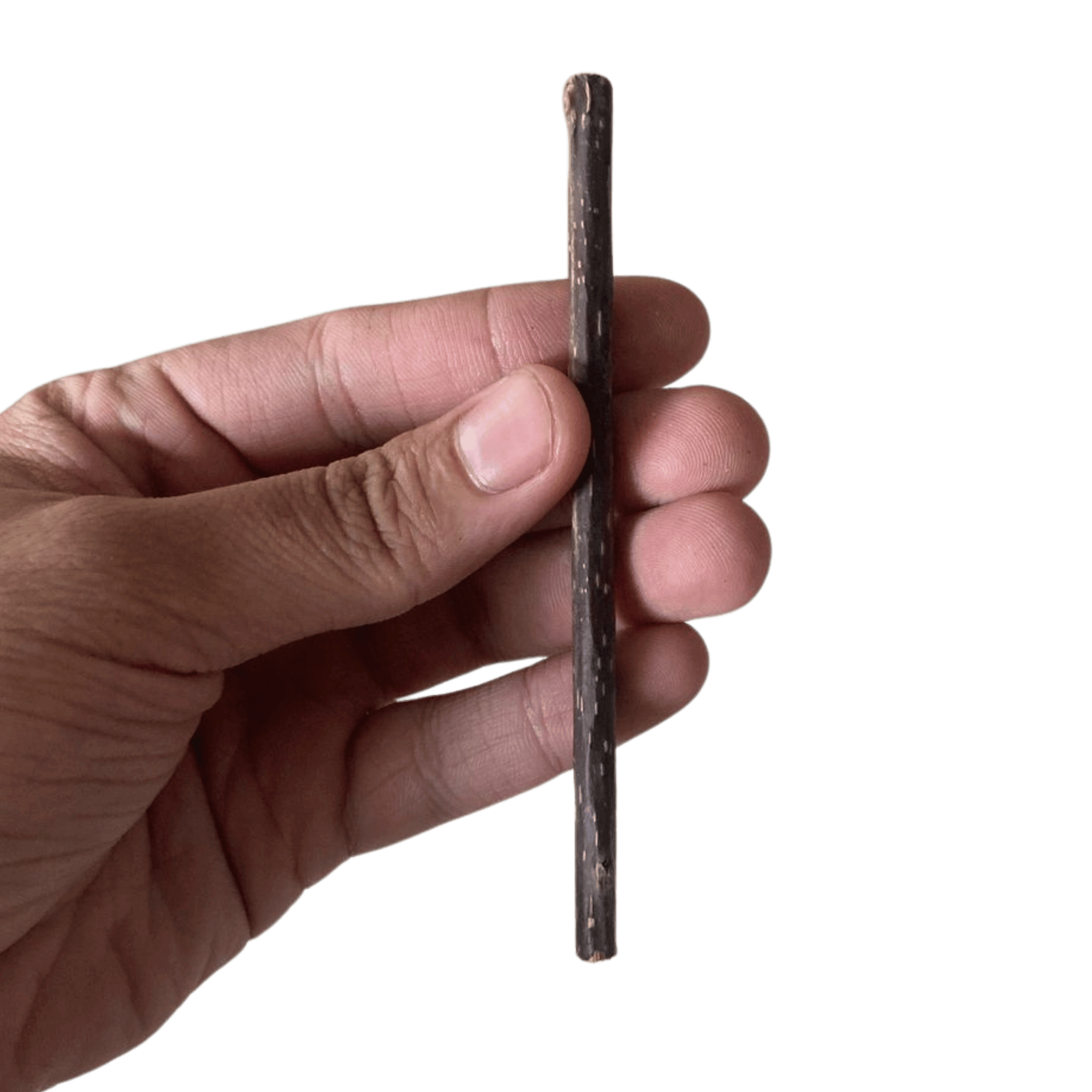 Kit 10 Pacotinhos Catnip Premium Caindi + 1 Palito Matatabi Orgânico Natural Alta Eficácia Rende Muito (Cópia)